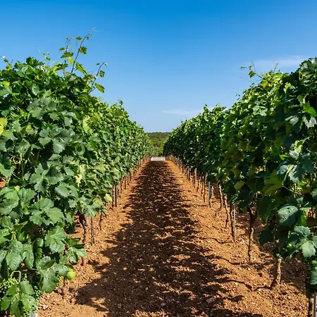 Tonka With Pool Casa de Férias Donje Rastane